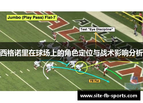 西格诺里在球场上的角色定位与战术影响分析 西格诺里在球场上的角色定位与战术影响分析